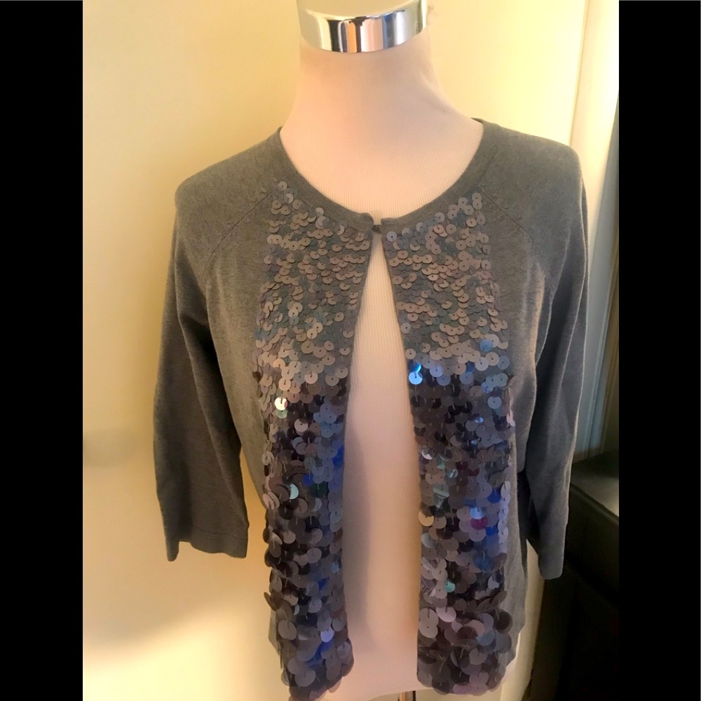 Ann Taylor Sequined Sweater